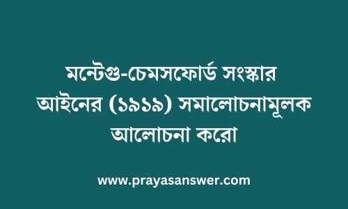 মন্টেগু-চেমসফোর্ড সংস্কার আইনের (১৯১৯) সমালোচনামূলক আলোচনা করো