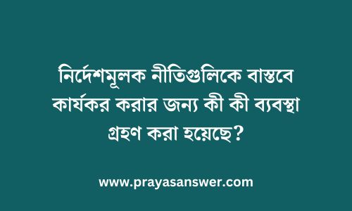 নির্দেশমূলক নীতিগুলিকে বাস্তবে কার্যকর করার জন্য কী কী ব্যবস্থা গ্রহণ করা হয়েছে